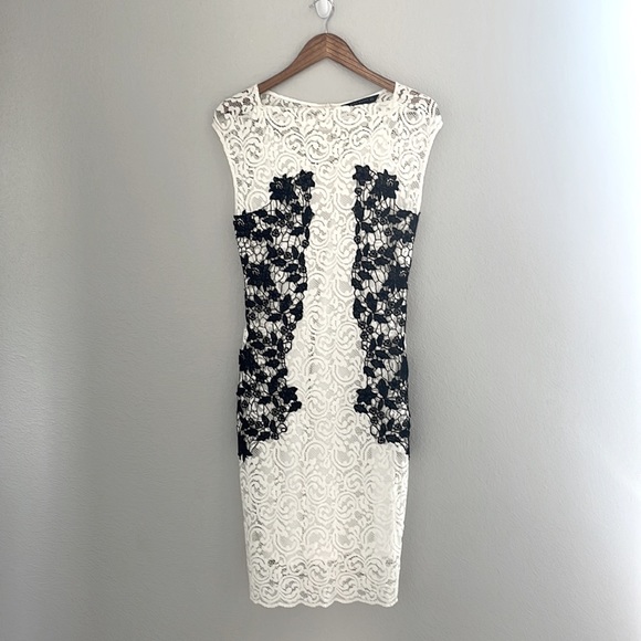Zara Woman Sheath Lace Dress - Picture 2 of 5